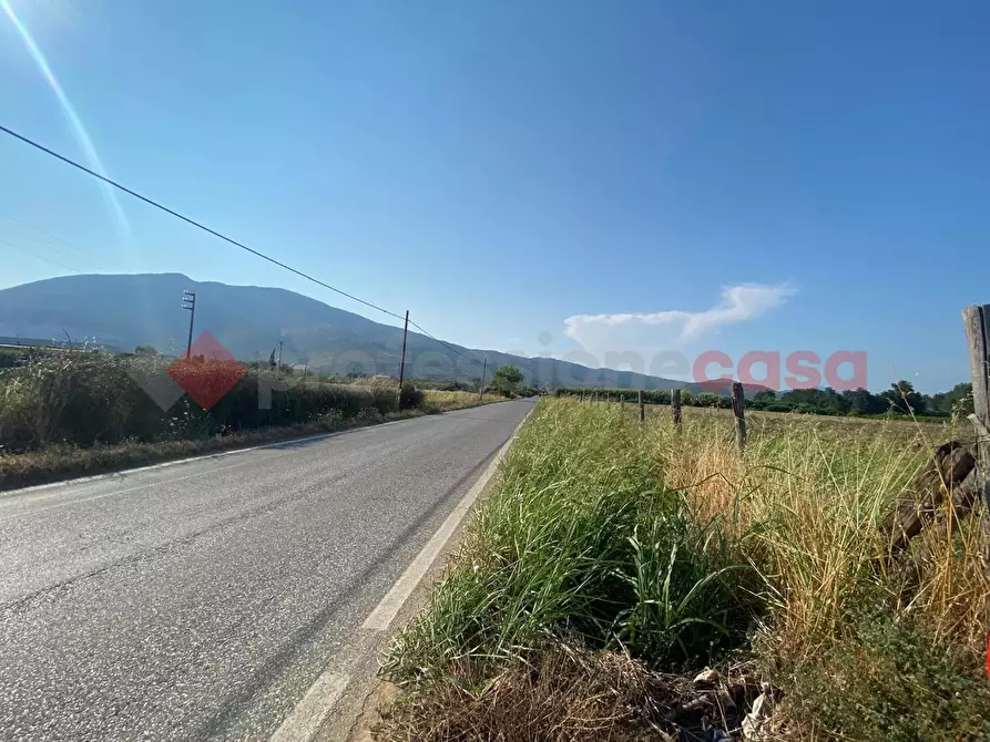 Immagine 4 di Terreno agricolo in vendita  in LocalitÃ  Starzella, SNC a Falciano Del Massico