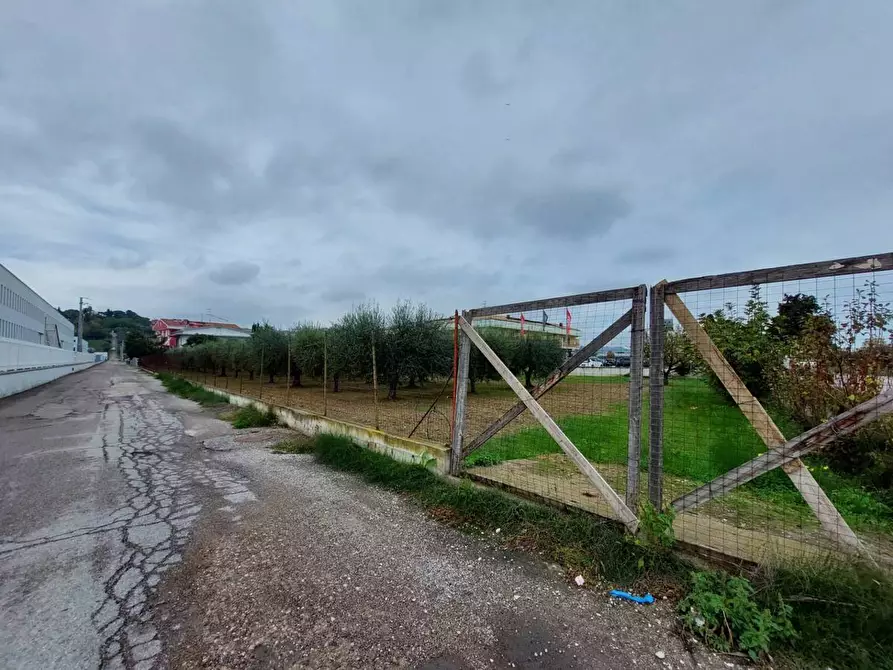 Immagine 1 di Terreno agricolo in vendita  in Via Nazionale, snc a Tortoreto
