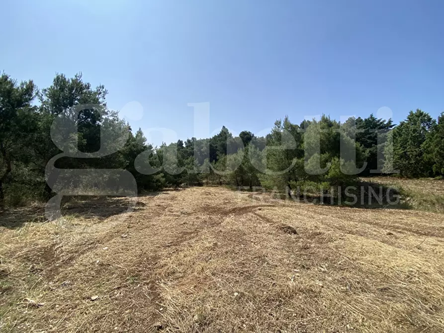 Immagine 37 di Villa in vendita  in Via S.P. 18, 76 a Cassano Delle Murge