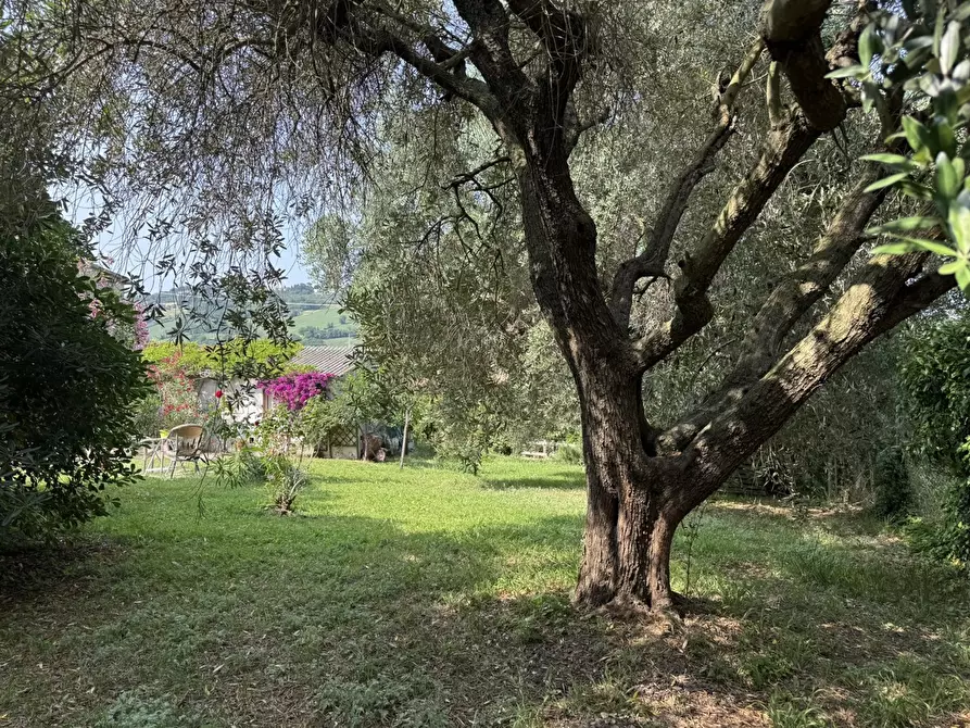 Immagine 31 di Rustico / casale in vendita  in Via castagna, 14 a Osimo