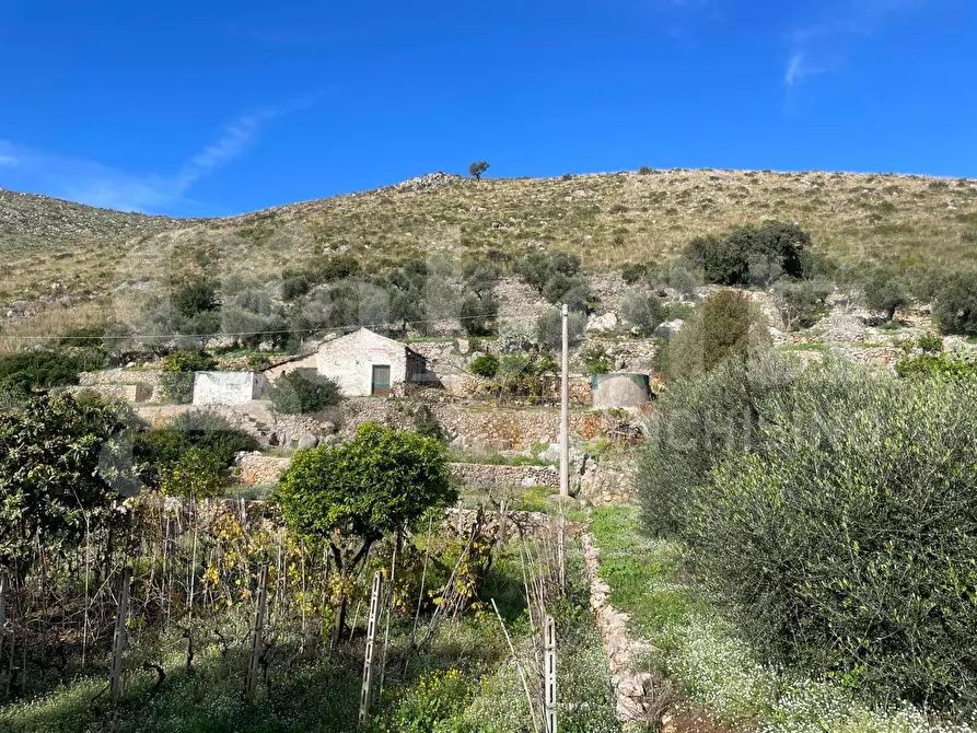 Immagine 14 di Terreno agricolo in vendita  in Via Sant'Agostino, snc a Gaeta