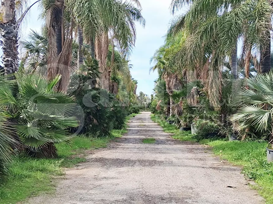 Immagine 1 di Terreno agricolo in vendita  in Contrada gaddimeli, snc a Ragusa
