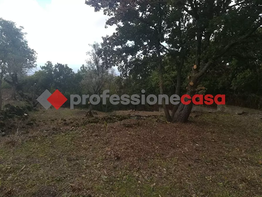 Immagine 14 di Terreno agricolo in vendita  in Contrada Scorsone, SNC a Belpasso