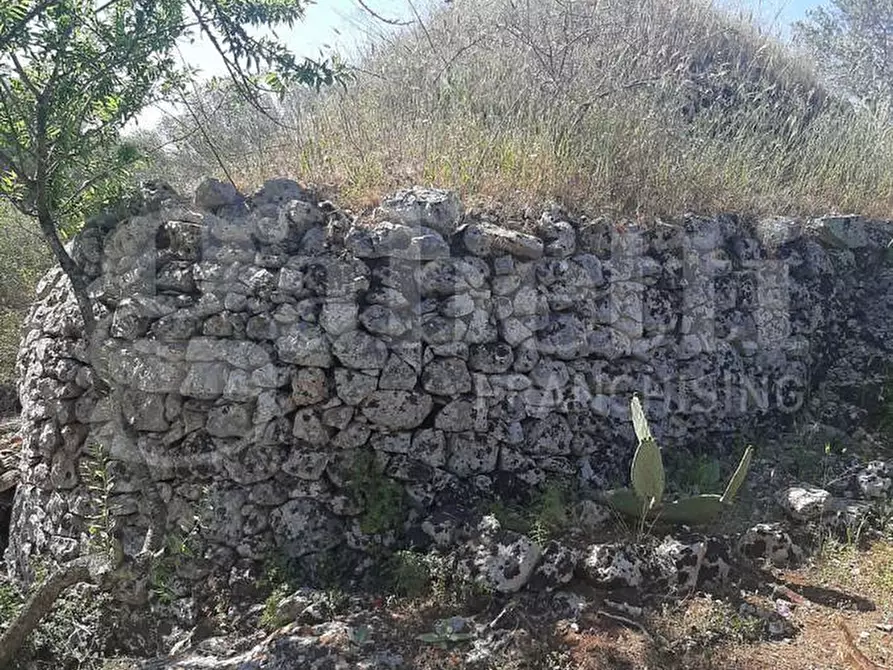 Immagine 5 di Terreno agricolo in vendita  in Contrada la chiusa, sn a Ostuni