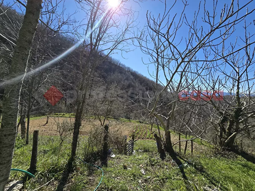 Immagine 7 di Terreno agricolo in vendita  in Via del Cerenaro, snc a Rieti
