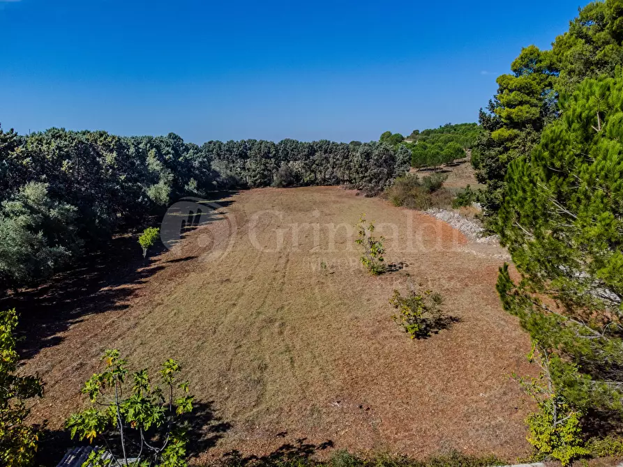 Immagine 9 di Terreno agricolo in vendita  in Via Cava Grande, 1 a Avola