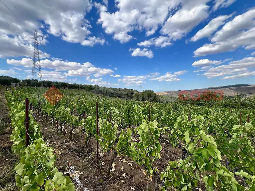 Immagine 20 di Terreno agricolo in vendita  in Contrada GORIZZE, SNC a Barile