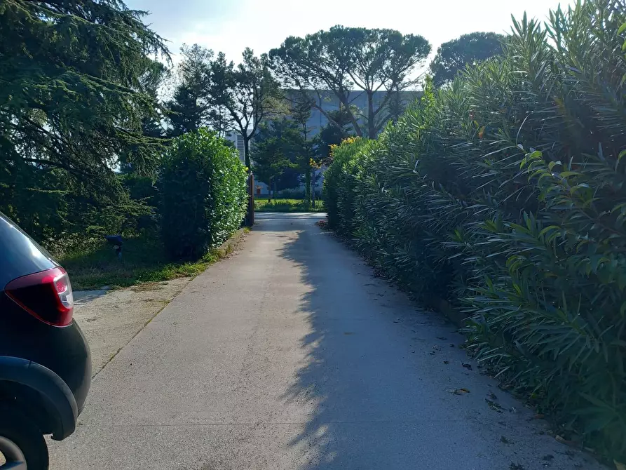 Immagine 4 di Appartamento in vendita  in Viale San Domenico, 69 a Sora