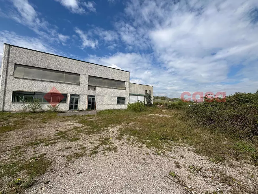 Immagine 2 di Capannone industriale in vendita  in Strada Provinciale 11 Morolense, snc a Patrica