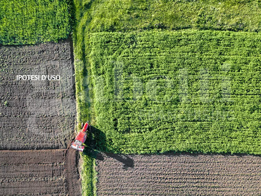 Immagine 16 di Terreno agricolo in vendita  in Via CA' BIANCA - VIA GORZONE, 00 a Chioggia