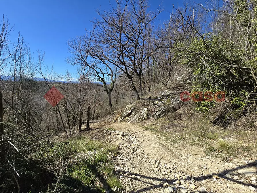 Immagine 24 di Terreno agricolo in vendita  in Via del Cerenaro, snc a Rieti