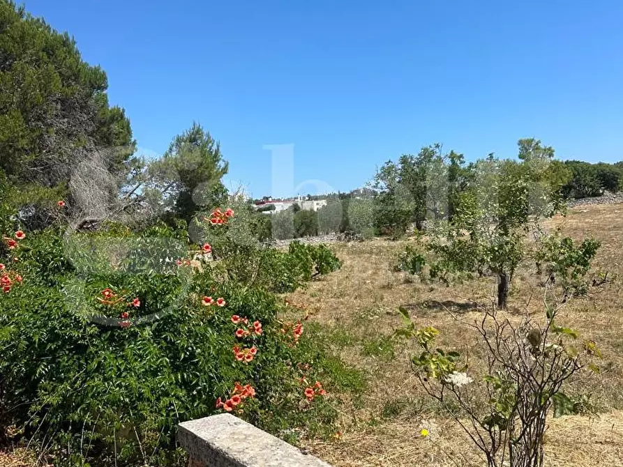 Immagine 19 di Villa in vendita  in Contrada Lamardilla, sn a Ostuni