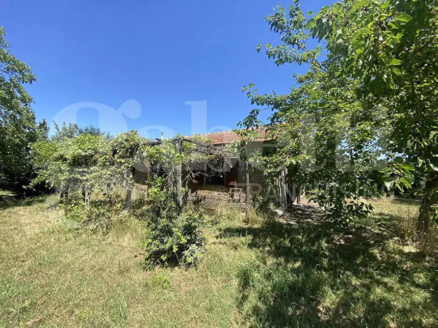 Immagine 15 di Rustico / casale in vendita  in Via DEL CONDOTTINO, 00 a Manziana