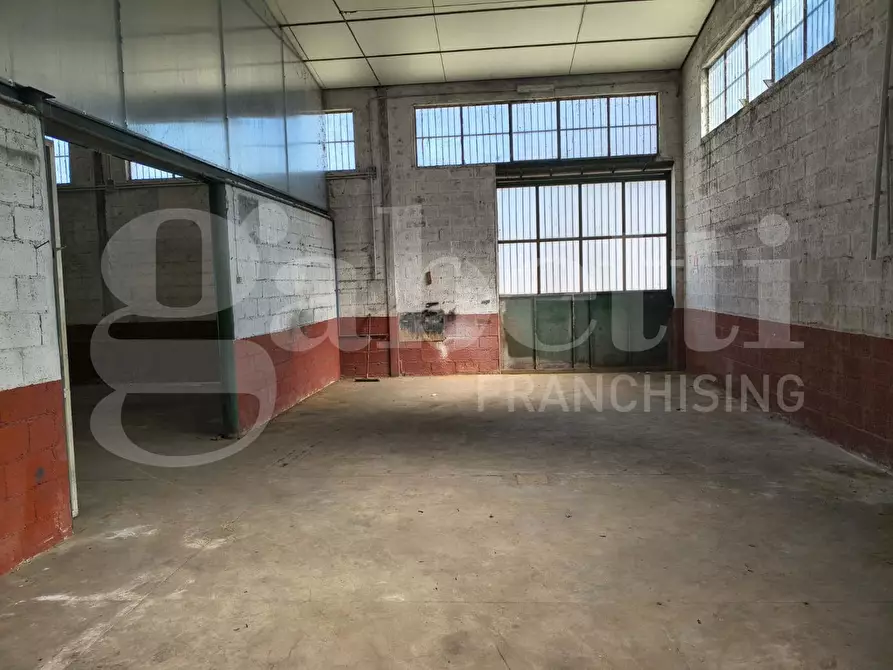 Immagine 4 di Capannone industriale in vendita  in Contrada Cozzipodi, snc a Maida