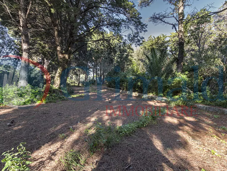 Immagine 31 di Villa in vendita  in Contrada Piano Rocca a Messina