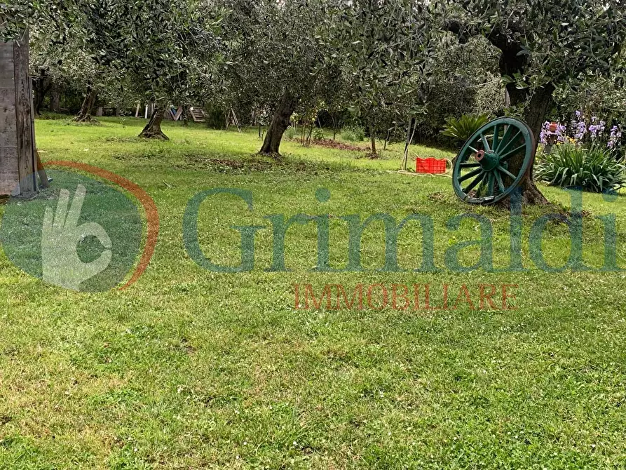 Immagine 4 di Terreno agricolo in vendita  in Via dell'uliveta a Livorno