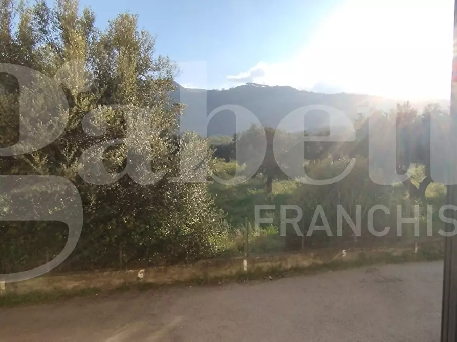 Immagine 12 di Appartamento in vendita  in Via degli Oleandri, 16 a Squillace