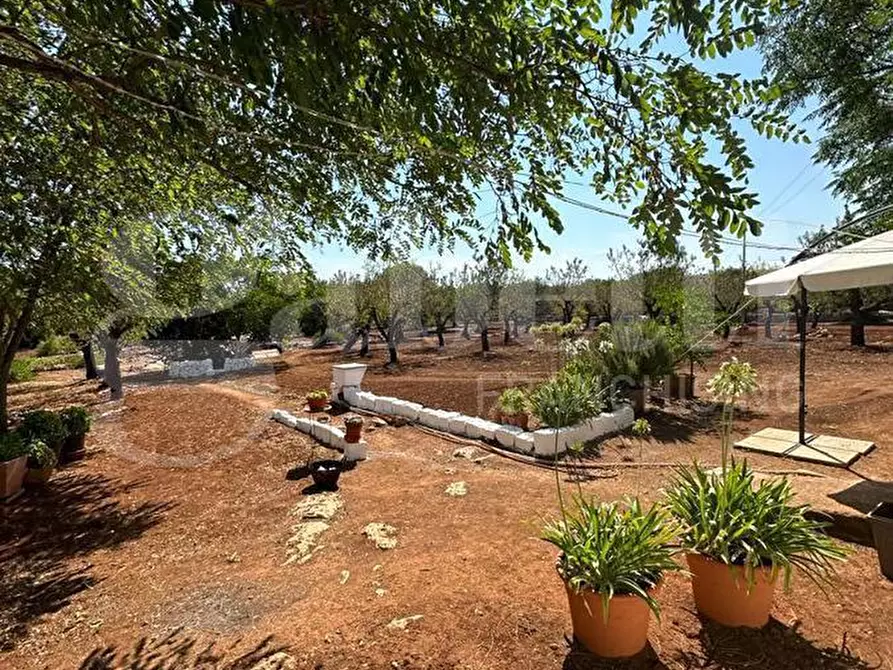 Immagine 29 di Villa in vendita  in Contrada VATO APERTO, sn a Ostuni