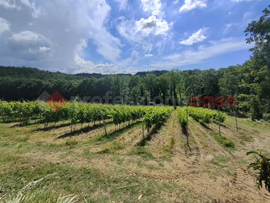 Immagine 41 di Terreno agricolo in vendita  in Via di castagneto a Empoli