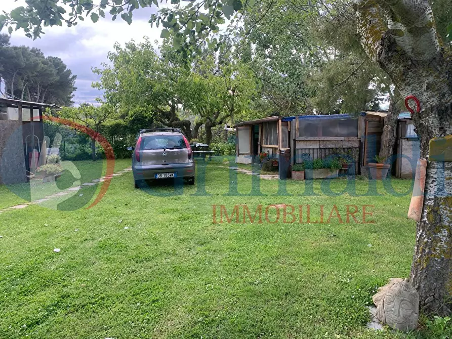 Immagine 7 di Terreno agricolo in vendita  in Via dell'uliveta a Livorno