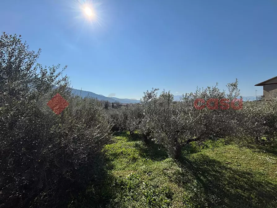 Immagine 20 di Casa indipendente in vendita  in Contrada torretta, 52 a Piglio