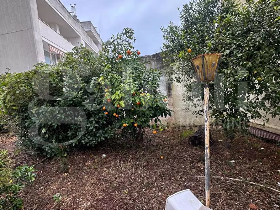 Immagine 17 di Villa in vendita  in Via Tommaso di Lampedusa, sn a Carovigno