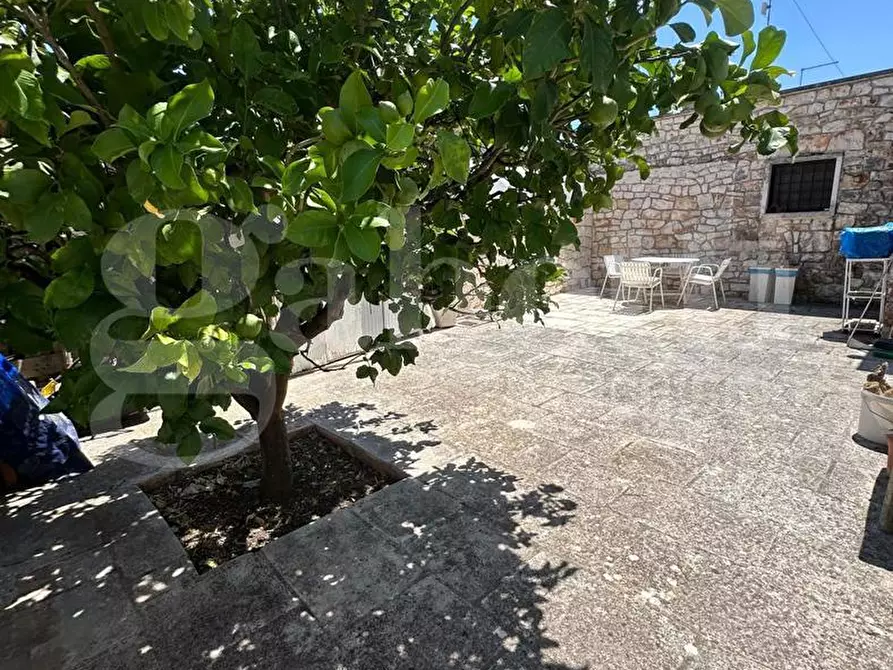 Immagine 47 di Villa in vendita  in Contrada Certosa, sn a Ostuni
