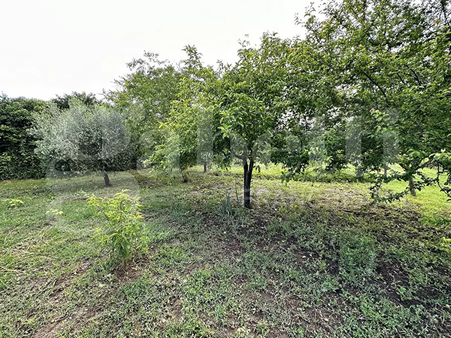 Immagine 1 di Terreno agricolo in vendita  in Via DELLA FIORA, 00 a Manziana