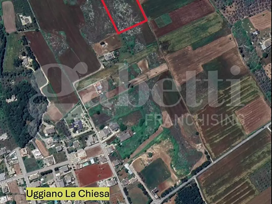 Immagine 2 di Terreno agricolo in vendita  in LocalitÃ  Marciale Piccolo, snc a Uggiano La Chiesa