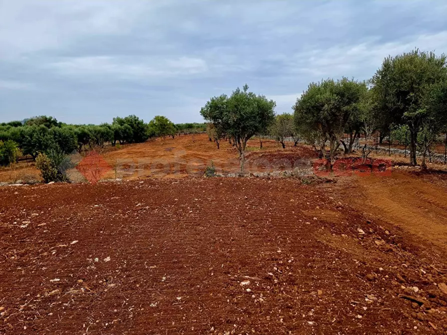 Immagine 13 di Baita in vendita  in Contrada Santo Scalone, snc a Ostuni
