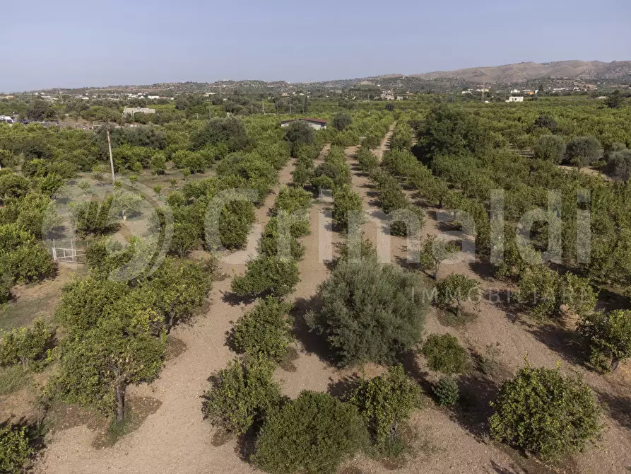 Immagine 5 di Terreno residenziale in vendita  in Contrada calabernardo/palma, snc a Avola
