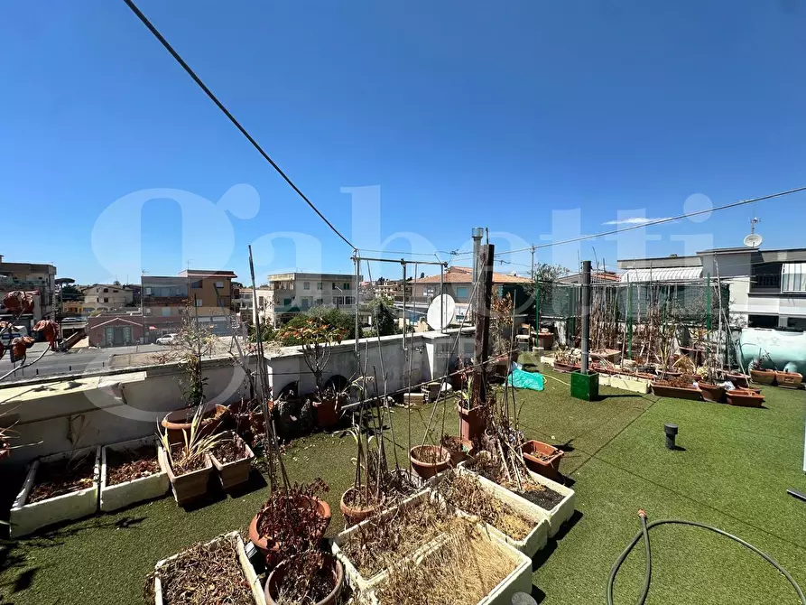 Immagine 20 di Appartamento in vendita  in Via valmontone, 5 a Anzio