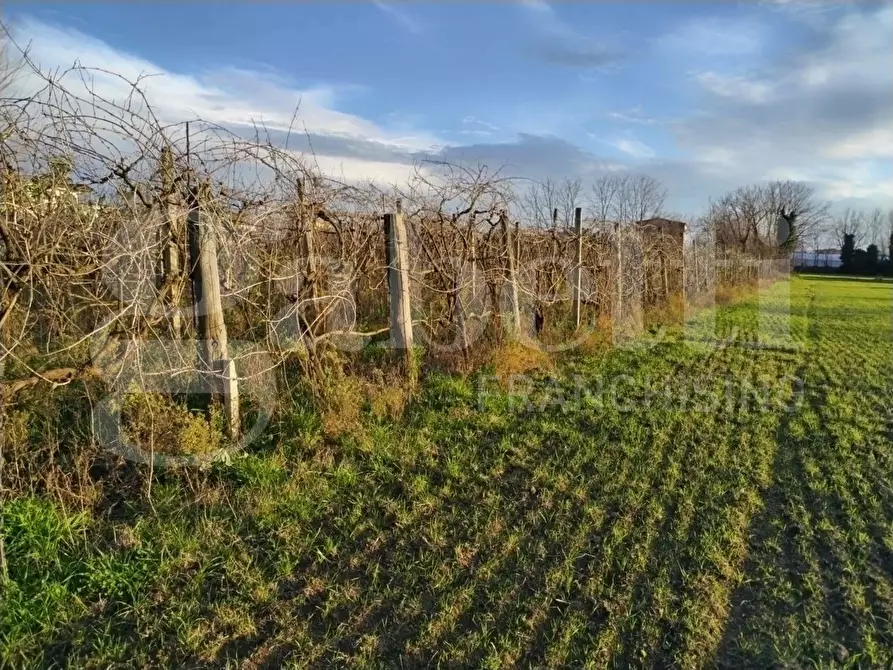 terreno agricolo in vendita a Sant'Antimo