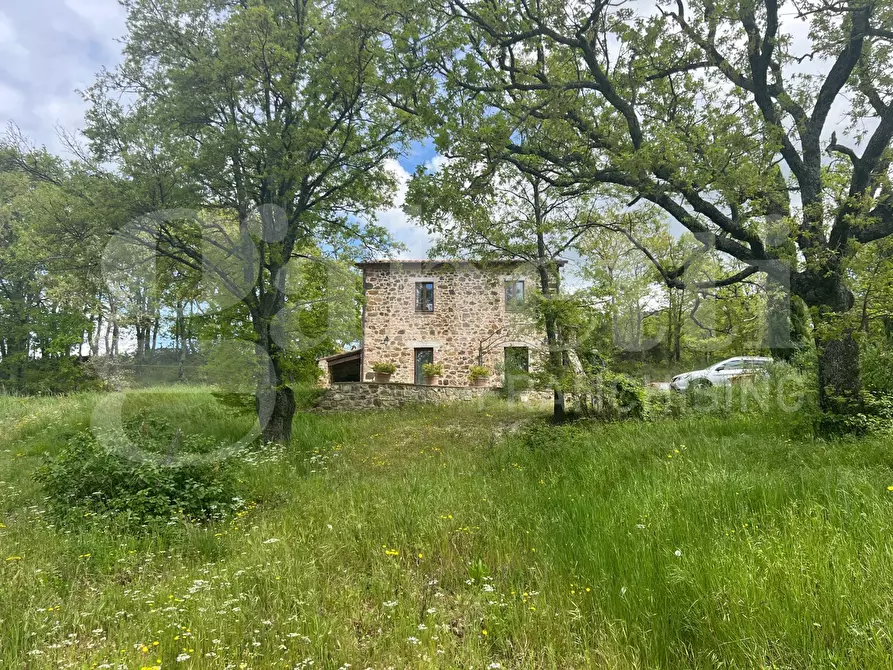 Immagine 50 di Rustico / casale in vendita  in Via di Vitozza, 16 a Sorano