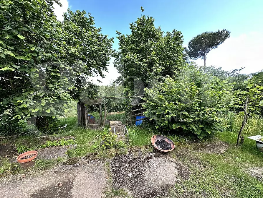 Immagine 7 di Terreno agricolo in vendita  in Via DELLA FIORA, 00 a Manziana
