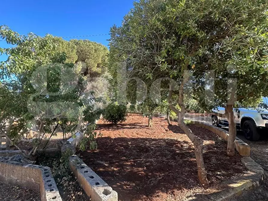 Immagine 6 di Casa bifamiliare in vendita  in Contrada VATO APERTO, SN a Ostuni