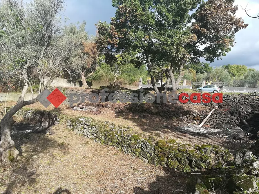 Immagine 9 di Terreno agricolo in vendita  in Contrada Scorsone, SNC a Belpasso