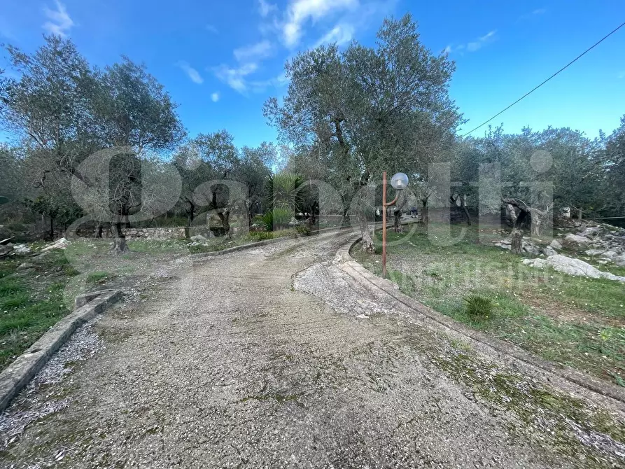 Immagine 35 di Casa bifamiliare in vendita  in Strada Provinciale Itri-Sperlonga, 127 a Itri