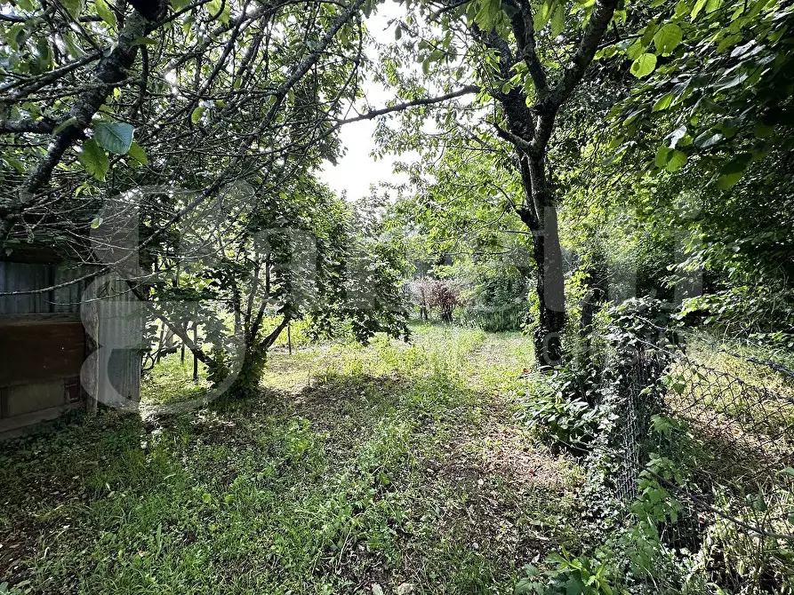 Immagine 5 di Terreno agricolo in vendita  in Via DELLA FIORA, 00 a Manziana