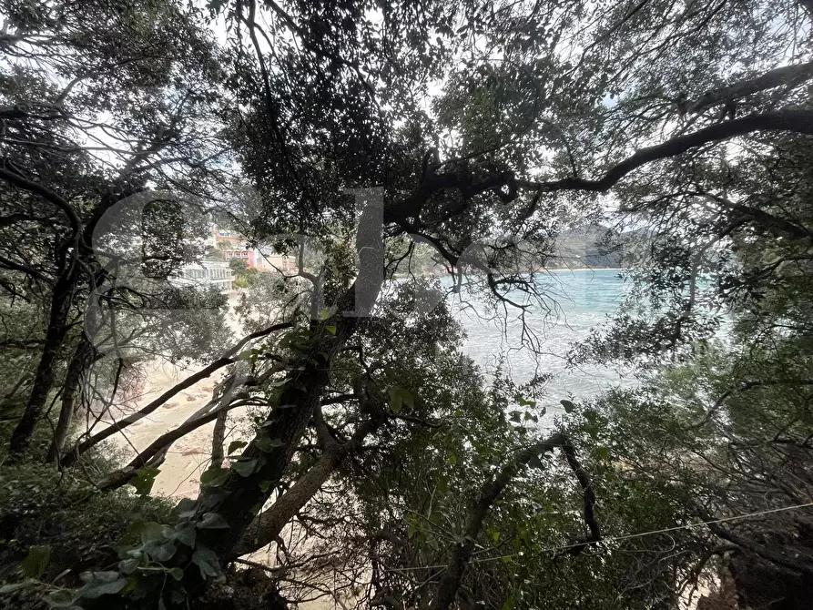 Immagine 7 di Terreno agricolo in vendita  in Via Monte a mare, s.n.c. a Gaeta