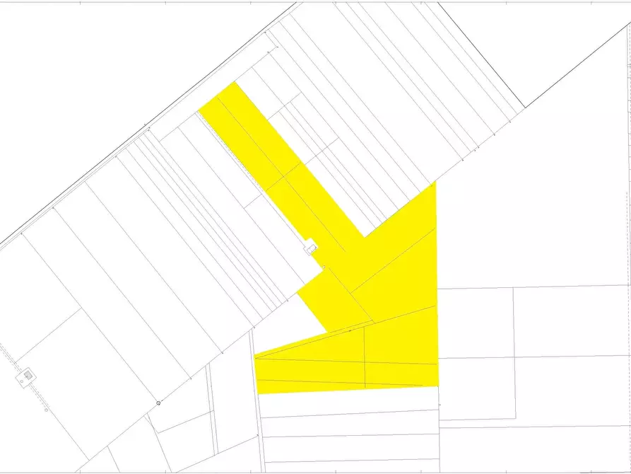 Immagine 7 di Terreno agricolo in vendita  in Contrada Vignali a San Severo