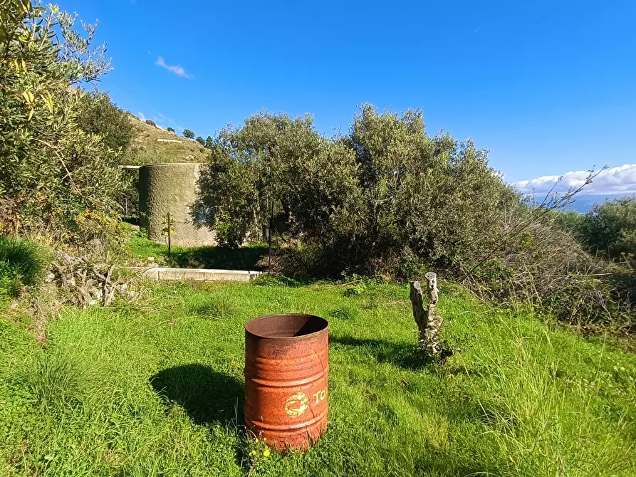 Immagine 19 di Terreno agricolo in vendita  in Via Giampilieri Superiore, contrada santa Lucia, Snc a Messina