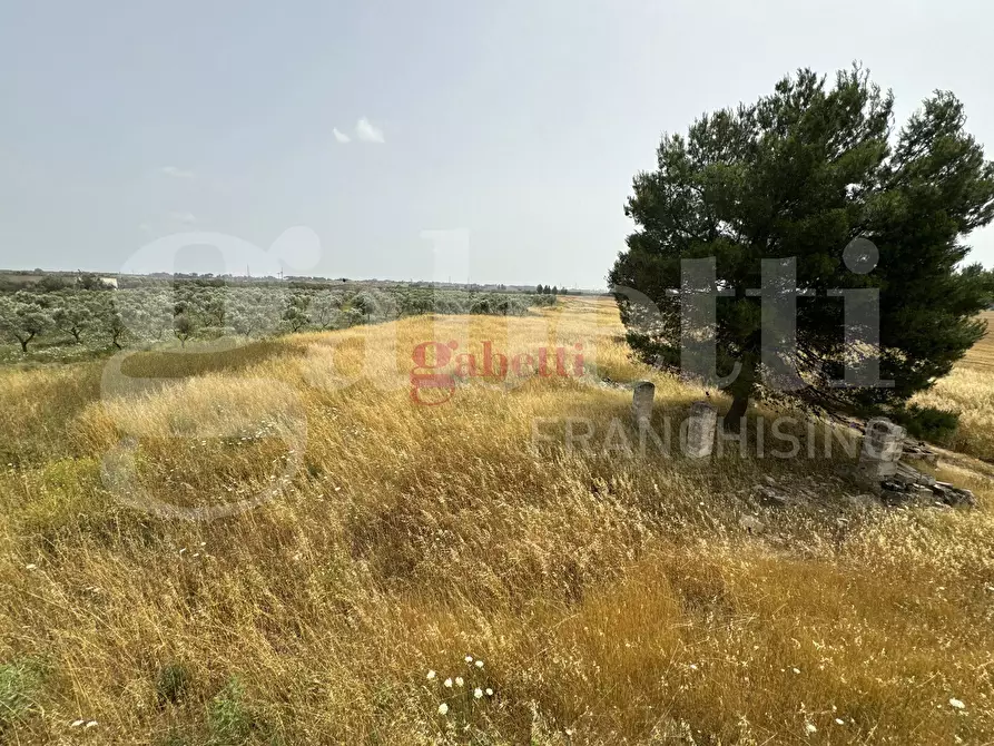 Immagine 25 di Villa in vendita  in Strada Provinciale 101, 1 a Campi Salentina