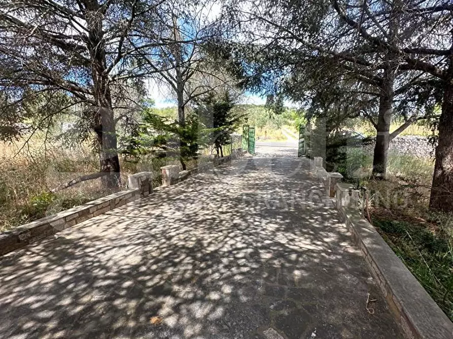 Immagine 13 di Villa in vendita  in Contrada San Benedetto, sn a Ostuni