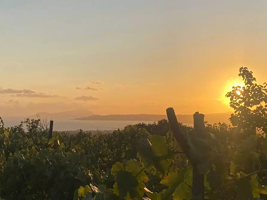 Immagine 2 di Terreno agricolo in vendita  in Via Luigi Palmieri, 37 a San Sebastiano Al Vesuvio