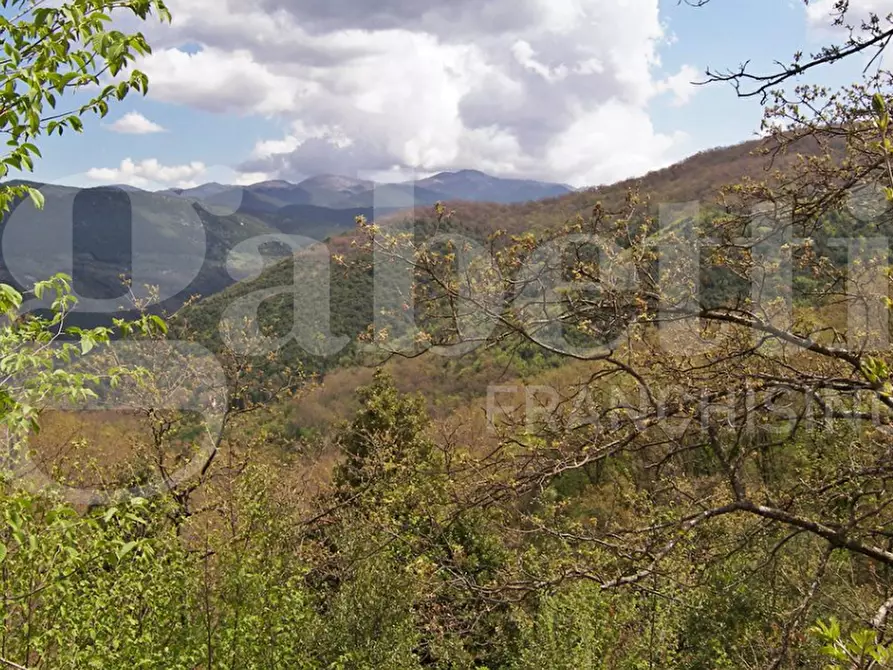 Immagine 3 di Terreno agricolo in vendita  in LocalitÃ  Valle Franca e Petreta, snc a Montelanico