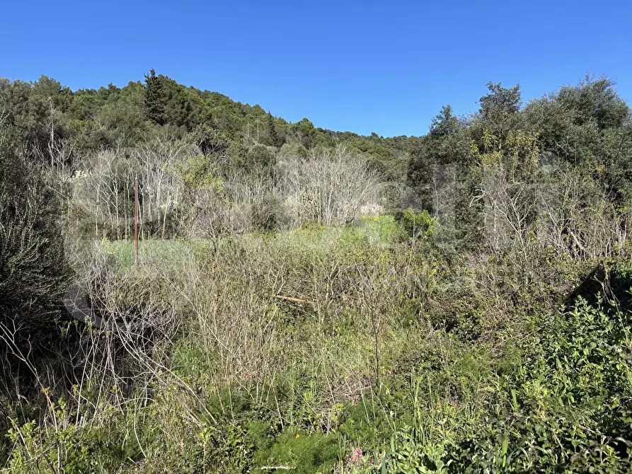 Immagine 10 di Rustico / casale in vendita  in Contrada Petraro, snc a Chiaramonte Gulfi