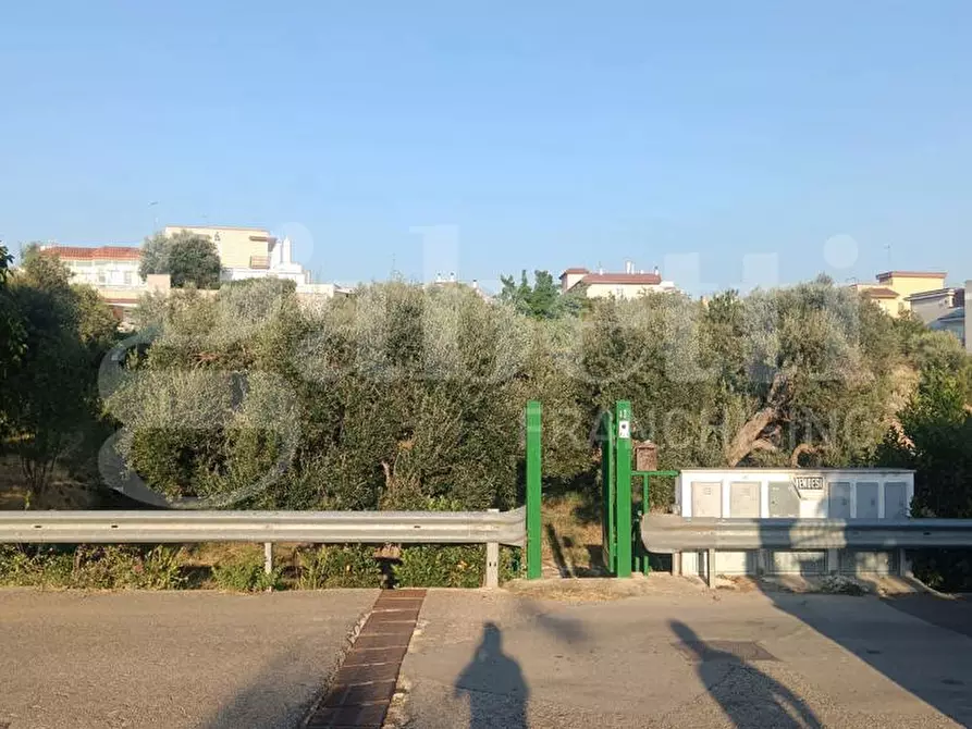 Immagine 8 di Terreno residenziale in vendita  in Via ROSSINI, SNC a Crispiano