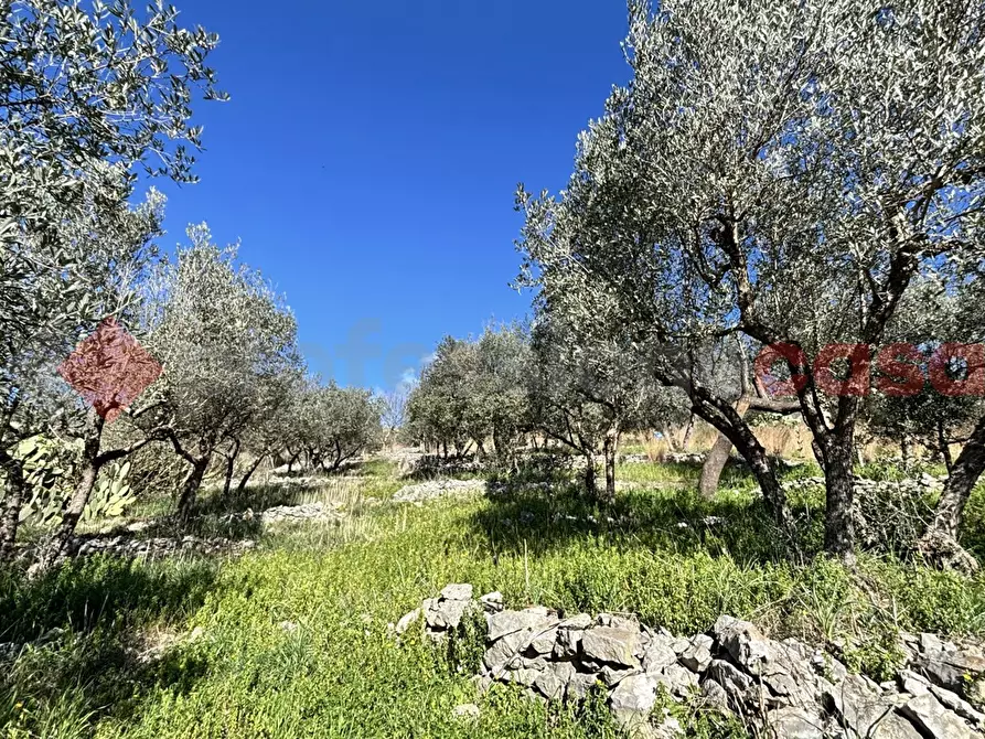 Immagine 15 di Rustico / casale in vendita  in Via Montereo, 32 a Alatri