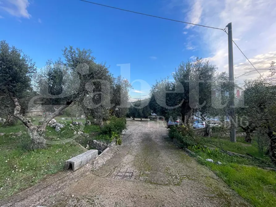 Immagine 40 di Casa bifamiliare in vendita  in Strada Provinciale Itri-Sperlonga, 127 a Itri